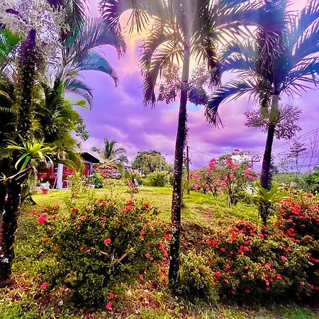 La Fortuna Hotel Tierra De Volcanes מראה חיצוני תמונה